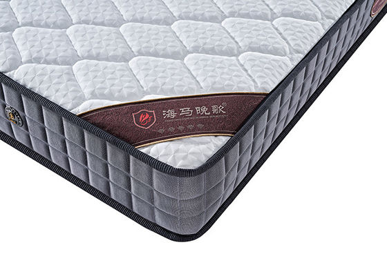 Matelas à hauteur d'éponge de densité de 10 pouces, anti matelas mou d'éponge d'Odorization