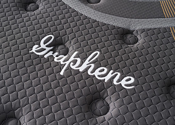 L'anti 27cm Roi Decubitus Size de taille de latex du sommier insonorisé respirable