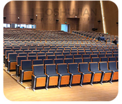 Dureté pliante de Hall Chairs Anti Electrostatic Medium de cinéma de 2 Seater